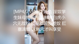 老婆的白丝2