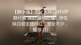 《最新震撼 稀缺流出》青春无敌 举牌圈 抖音高颜巨乳写字女神Last反差定制，揉奶紫薇毫无保留，穿衣与不穿衣的区别