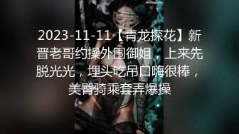 MD0192女优面试员-迈向女优性技考验