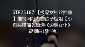 抖S麥娜會長大人被抖M筆記支配了 2