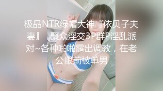 极品福利姬美少女  发条少女 -迷之呆梨  压缩版视频福利合集 [228V] (77)