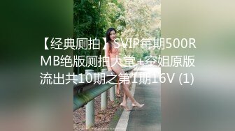 【经典厕拍】SVIP每期500RMB绝版厕拍大堂+空姐原版流出共10期之第1期16V (1)