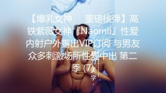 【爆乳女神❤️重磅核弹】高铁紫薇女神『Naomii』性爱内射户外露出VIP订阅 与男友众多刺激场所性爱中出 第二季 (7)