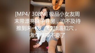 出张中に手违いで女上司とまさかの相部屋で饮み说教中 酔って无防备なノーブラ生乳が気になって仕方がない…。