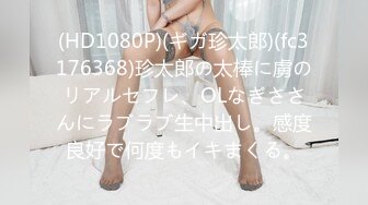 一本道 123119_001 逢沢はる ～逢沢はるスペシャル版～