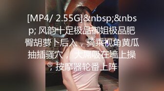 [MP4/ 2.55G]&nbsp;&nbsp; 风韵十足极品御姐极品肥臀胡萝卜后入，骑乘视角黄瓜抽插骚穴， 大屌吸在墙上操，按摩器轮番上阵