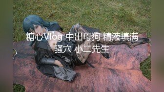 糖心Vlog 中出母狗 精液填满骚穴 小二先生