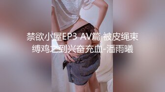 禁欲小屋EP3 AV篇 被皮绳束缚鸡之到兴奋充血-潘雨曦