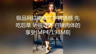 超火小姐姐推荐极品美图云溪溪 奶桃桃 情趣狗狗诱惑[74P/569M]