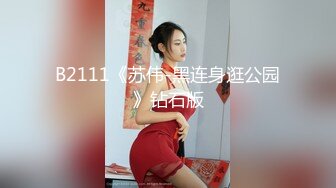 B2111《苏伟-黑连身逛公园》钻石版