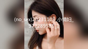 (no_sex)20231108_小情妇_972289581_1