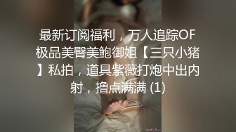 美臀，巨乳少妇，操起来就是爽