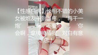 [MP4]麻豆传媒-女神恋爱巴士 淫乱巴士的性爱惩处 麻豆女神苏清歌 上集