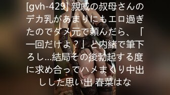 [gvh-429] 親戚の叔母さんのデカ乳があまりにもエロ過ぎたのでダメ元で頼んだら、「一回だけよ？」と内緒で筆下ろし…結局その後勃起する度に求め合ってハメまくり中出しした思い出 春菜はな