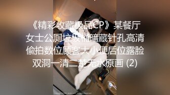 《精彩收藏极品CP》某餐厅女士公厕垃圾桶暗藏针孔高清偸拍数位顾客大小便后位露脸双洞一清二楚无水原画 (2)