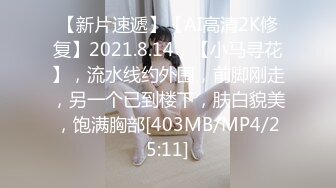 [MP4/2.6GB]麻豆傳媒MDX0228-0233騎樂無窮聖誕夜+精錢誘惑兄妹相奸+問題學生性家訪+專職主婦的性愛午後