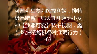 皮丘 (33)