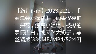 [MP4]STP28829 气质酒窝美女！姐妹花长得很像！大奶肥臀互揉，翘起屁股假屌后入，骑坐深插骚穴表情很爽 VIP0600