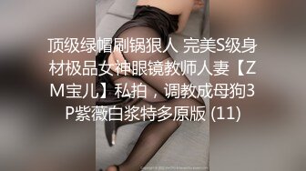 源码录制 气质出众的女神【agreeable-22】道具自慰，害我射了