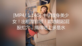 [MP4/ 332M] 漂亮伪娘 爽不爽 哦槽好大 啊啊太猛了操死我了 小哥哥第一次和伪娘啪啪