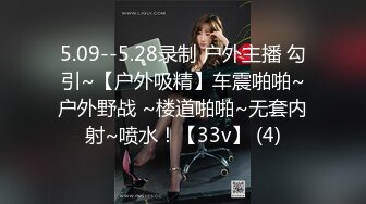 5.09--5.28录制 户外主播 勾引~【户外吸精】车震啪啪~户外野战 ~楼道啪啪~无套内射~喷水！【33v】 (4)