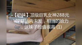 【奶妹】顶级巨乳女神288元VIP群站内未发，相当的给力，这妹子颜值很高 (1)