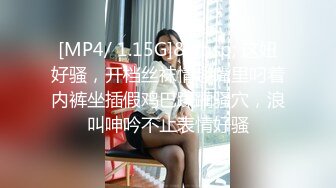 母狗穿着女仆装求着主人操她