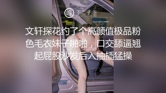 文轩探花约了个高颜值极品粉色毛衣妹子啪啪，口交舔逼翘起屁股沙发后入抽插猛操