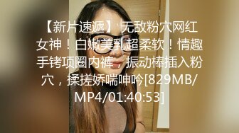 [MP4]麻豆传媒最新上映MSD-009香艳姐妹新邻居饥渴淫靡高潮不断-袁子仪