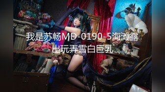 我是苏畅MD-0190-5海滩露出玩弄雪白巨乳