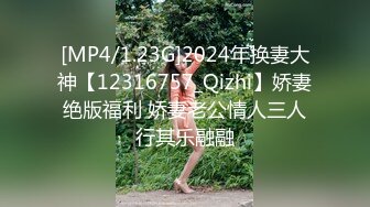 【在线】液液酱 – 黑猫女仆灰丝COS (37P+2V119MB)