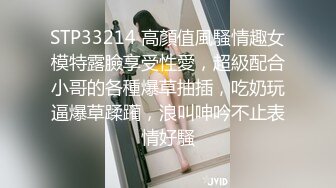 STP33214 高顏值風騷情趣女模特露臉享受性愛，超級配合小哥的各種爆草抽插，吃奶玩逼爆草蹂躏，浪叫呻吟不止表情好騷