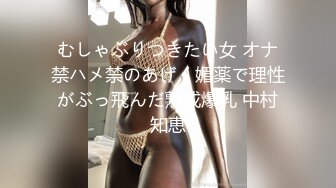 むしゃぶりつきたい女 オナ禁ハメ禁のあげく媚薬で理性がぶっ飛んだ熟成爆乳 中村知恵