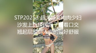 STP20253 超大巨乳肉肉少妇 沙发上玩揉搓奶子跪着口交 翘起屁股后入操的喊好舒服