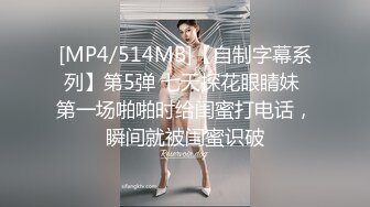 极品女房东灵灵