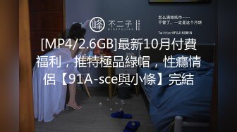 [MP4/2.6GB]最新10月付費福利，推特極品綠帽，性癮情侶【91A-sce與小條】完結