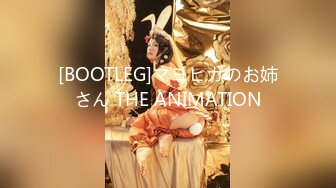 [BOOTLEG]マヨヒガのお姉さん THE ANIMATION