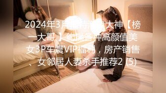 2024年3月推特泡良大神【榜一大哥 】约操各种高颜值美女3P车震VIP福利，房产销售、女邻居人妻杀手推荐2 (5)