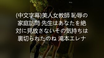 (中文字幕)美人女教師 恥辱の家庭訪問 先生はあなたを絶対に見放さないその気持ちは裏切られたのね 滝本エレナ