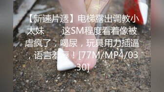 华裔博主mvLust onlyfans高清原档合集【138V】 (72)