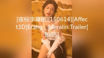 [夜桜字幕組][150614][Affect3D]Eralin _ Meralin Trailer[BIG5]